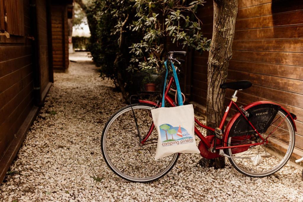 Camping La Pineta Porto Recanati Buitenkant foto
